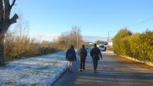  Wanderroute auf der Traisenpromenade 